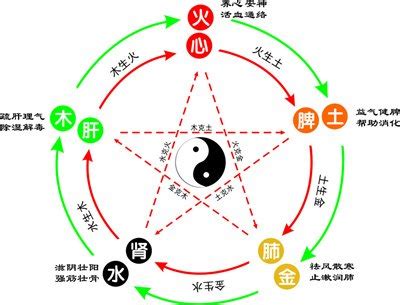 婉五行|婉字的五行属性是什么